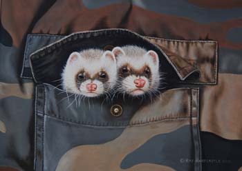 Pocket Watchers